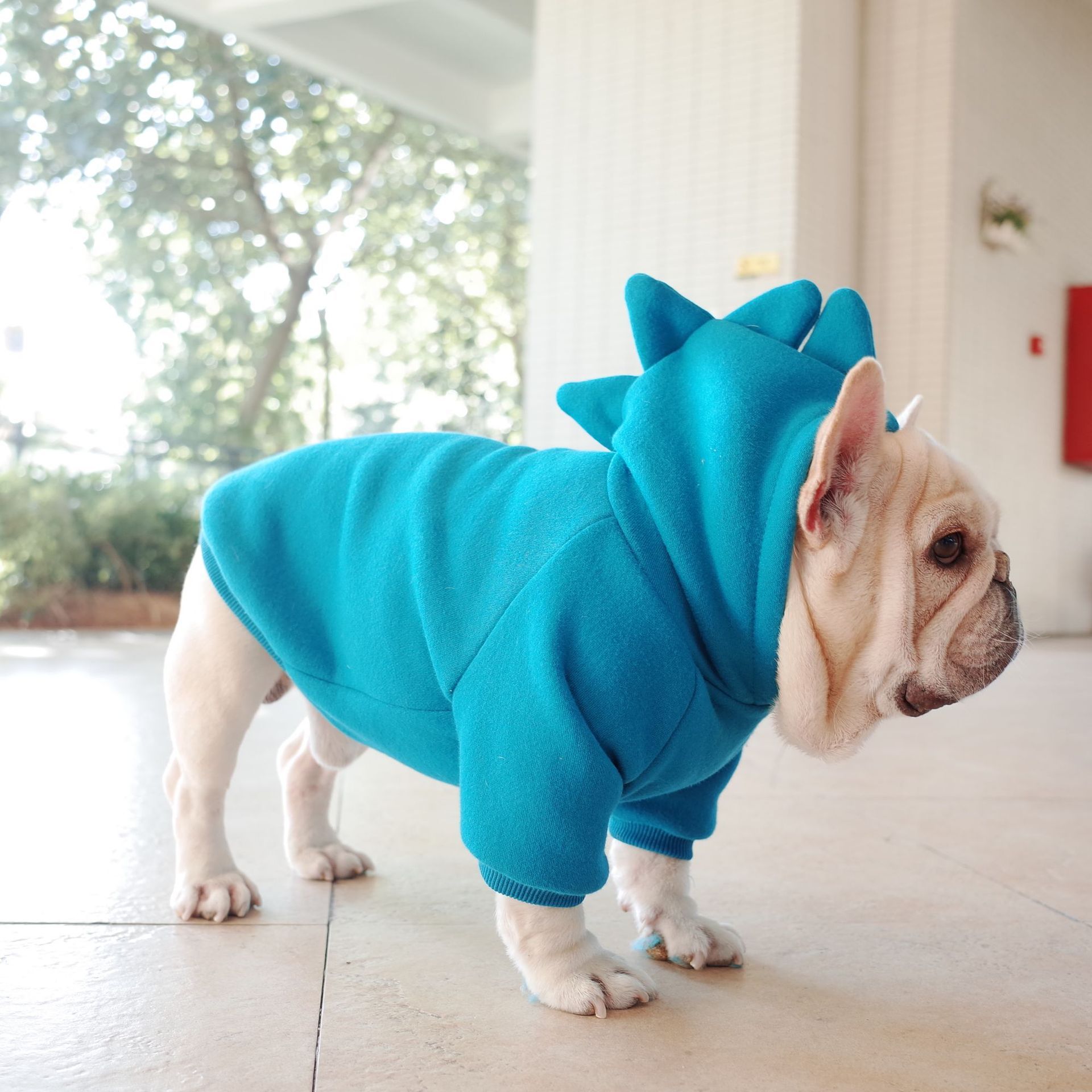 Dino Hoodie