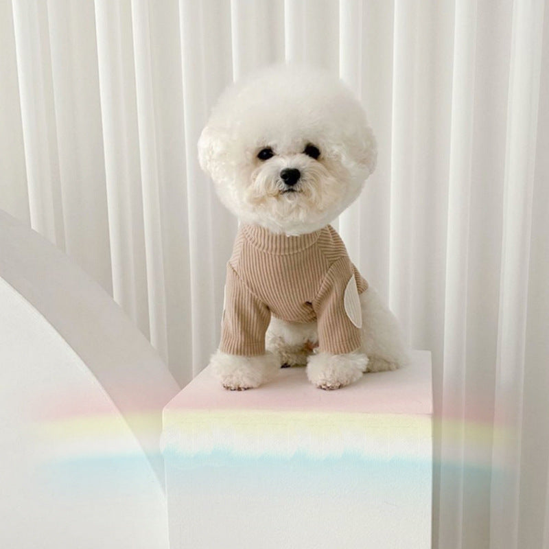 Stylischer Haustierpullover