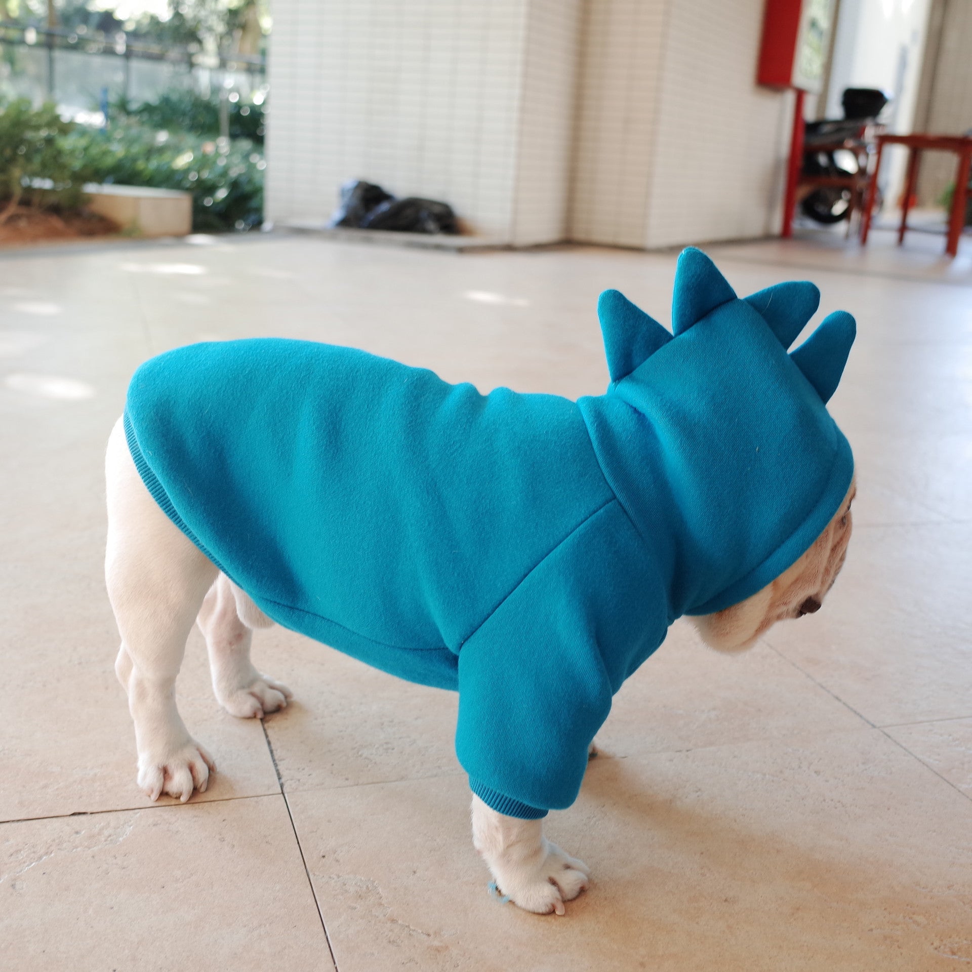 Dino Hoodie