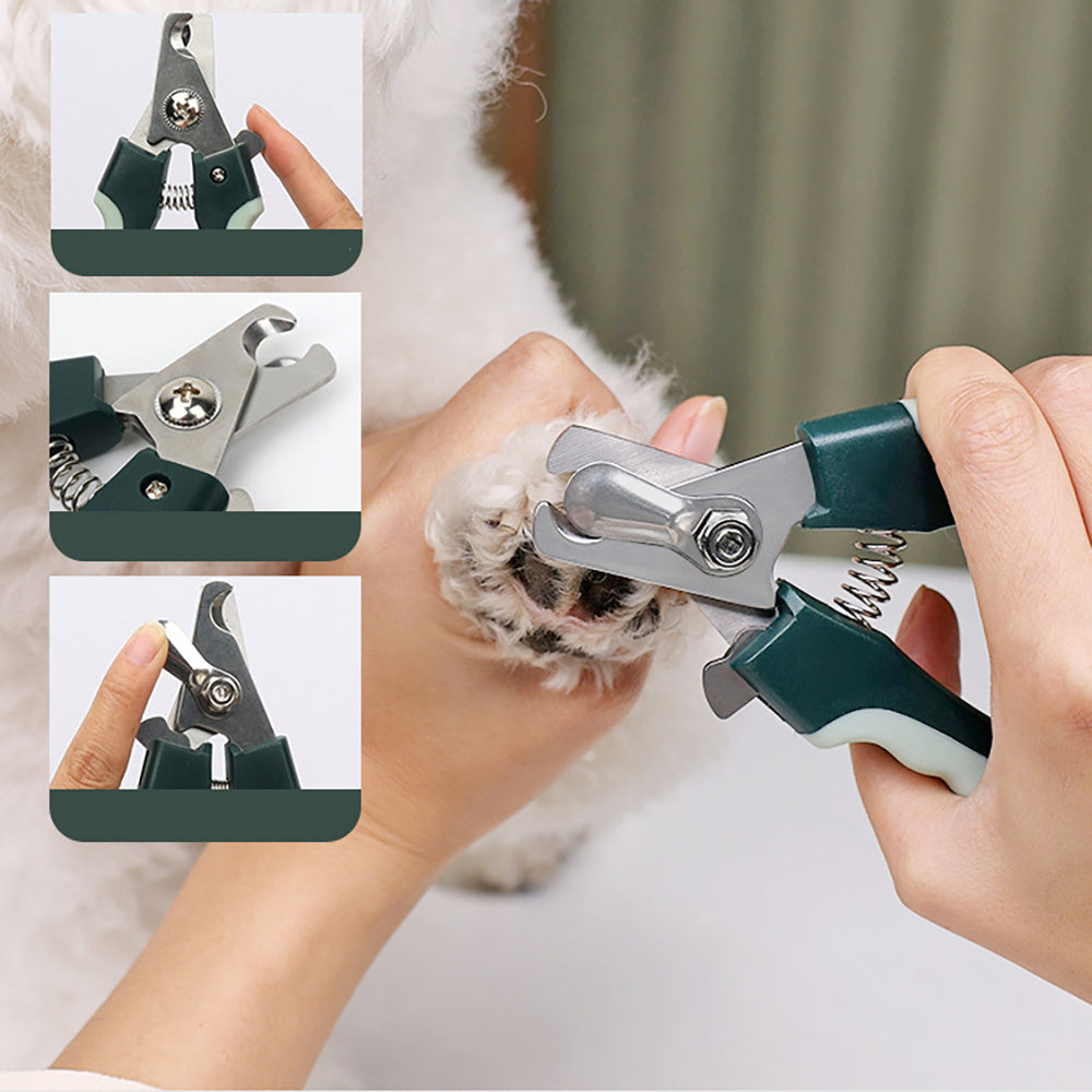 Pflege-Set für Hund und Katze