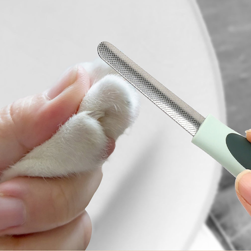 Pflege-Set für Hund und Katze