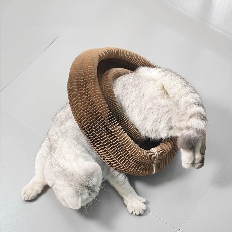 Virales Katzenspielzeug