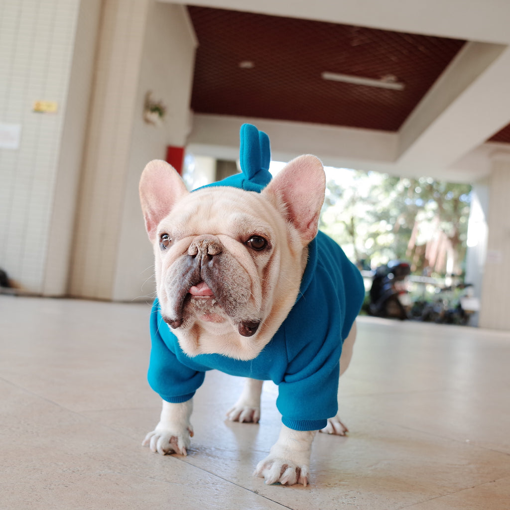 Dino Hoodie