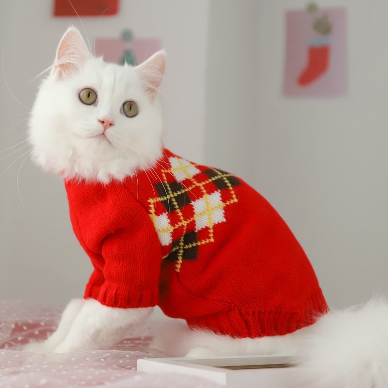 Herbstpullover
