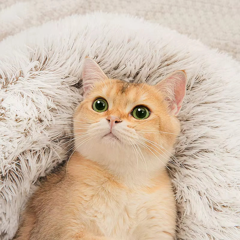 Kuschelbett