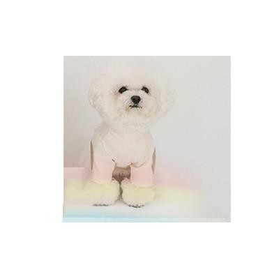 Stylischer Haustierpullover