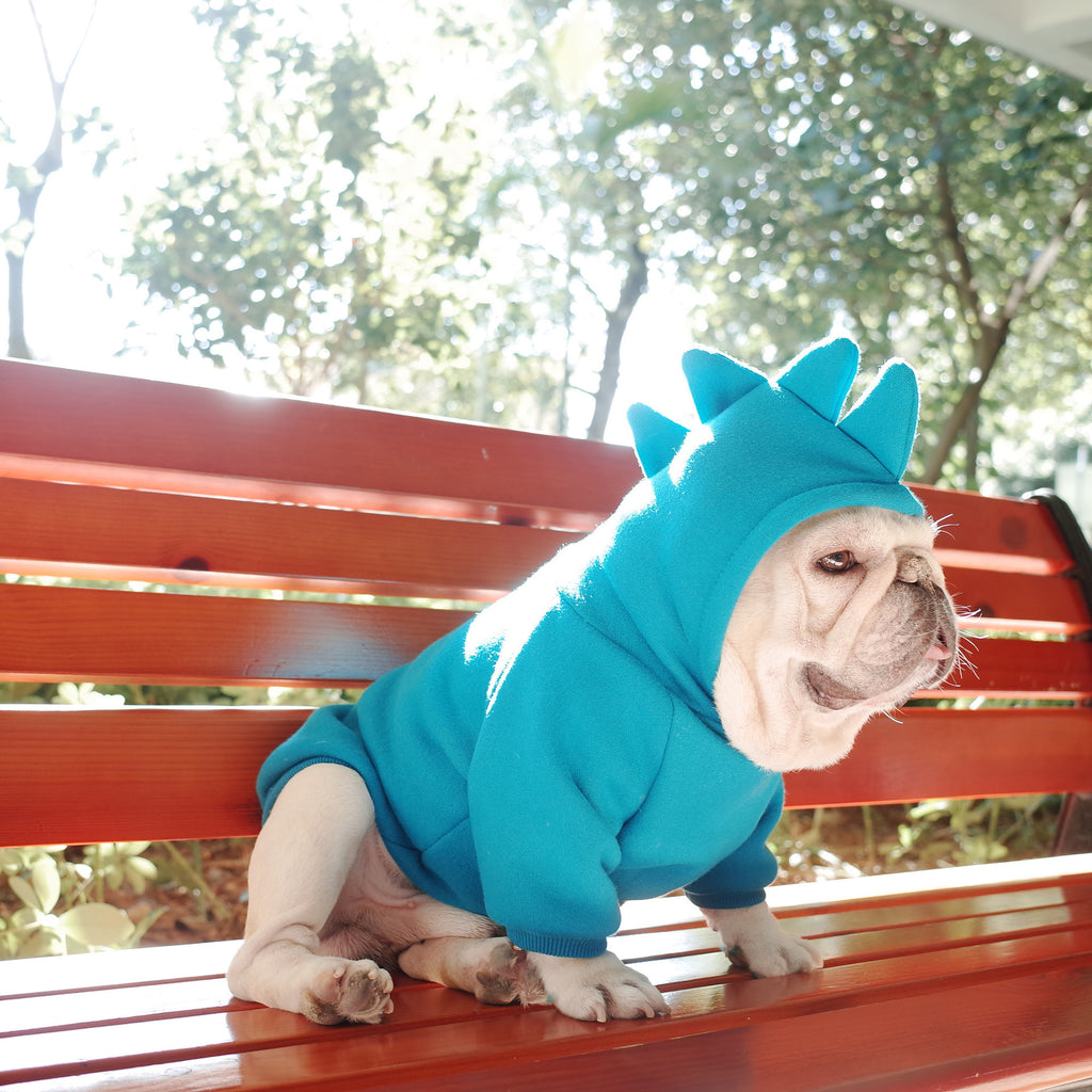 Dino Hoodie