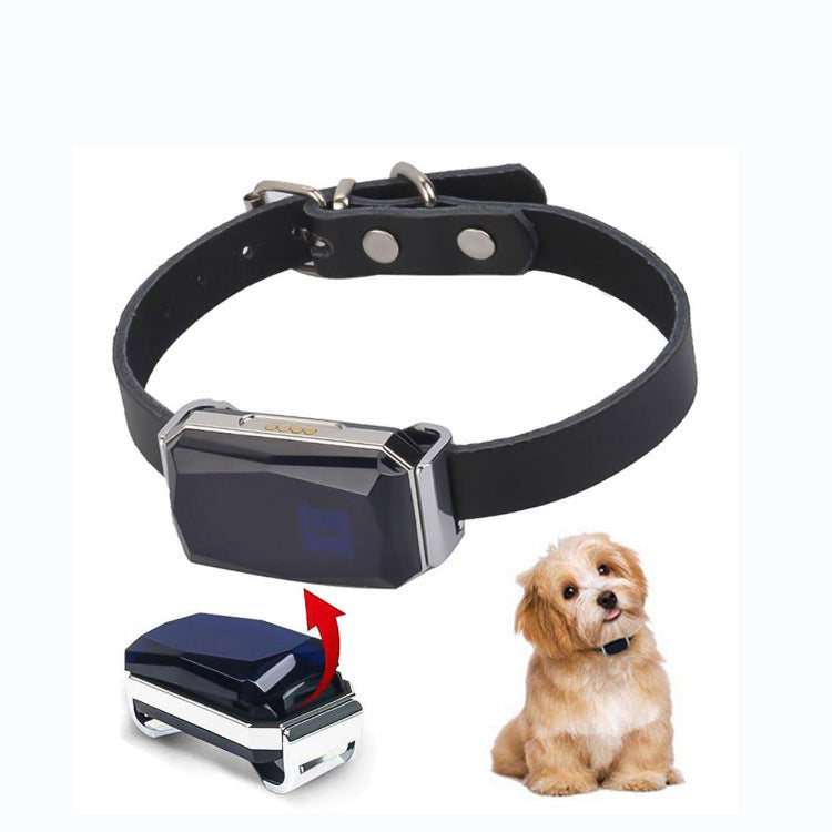 GPS Tracker