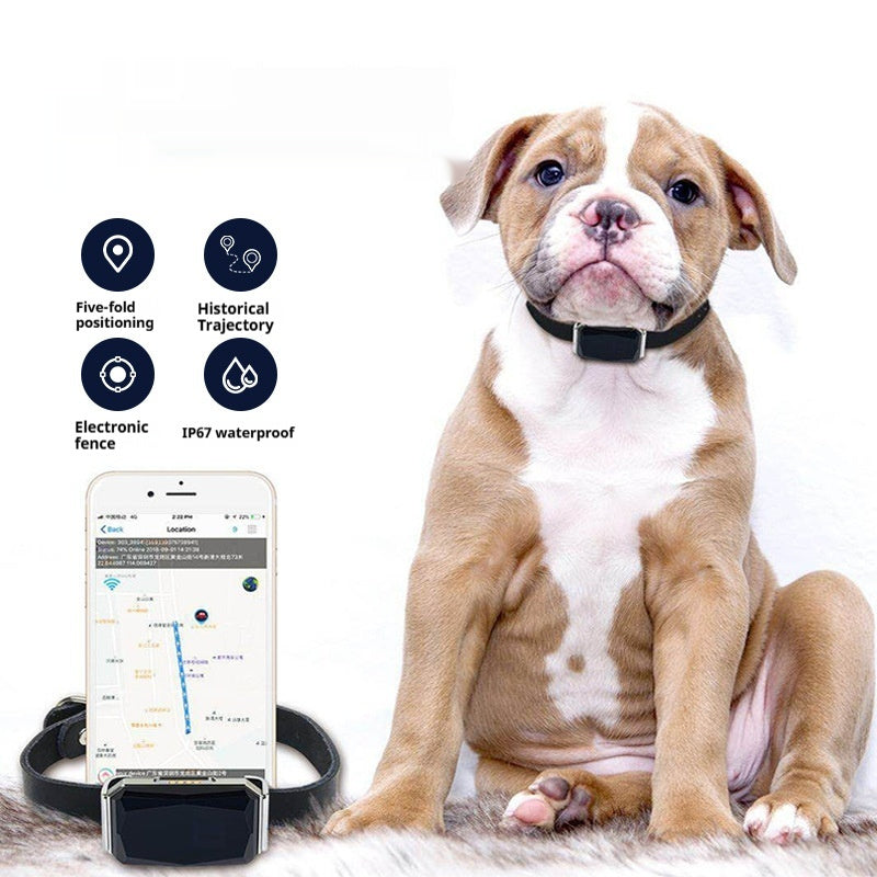 GPS Tracker