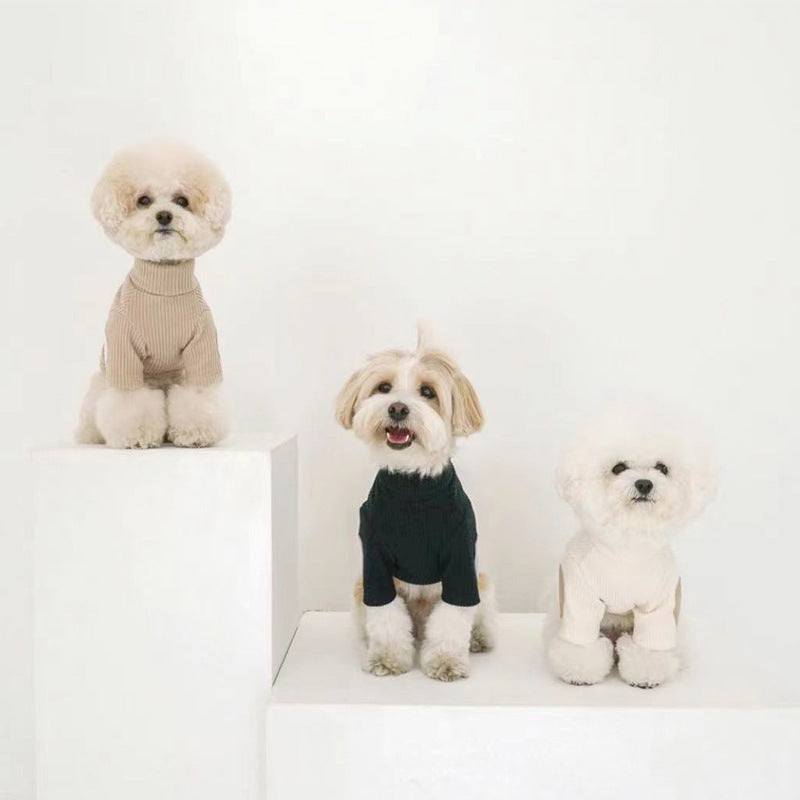 Stylischer Haustierpullover